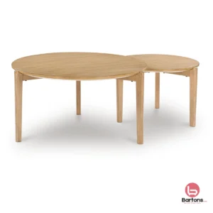 Naborlee Nesting Coffee Table (Set of 2)